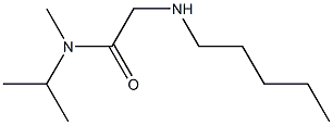 N-methyl-2-(pentylamino)-N-(propan-2-yl)acetamide Struktur