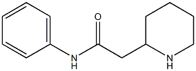 N-phenyl-2-(piperidin-2-yl)acetamide Struktur