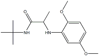 N-tert-butyl-2-[(2,5-dimethoxyphenyl)amino]propanamide Struktur