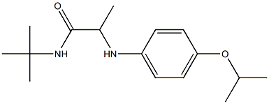 N-tert-butyl-2-{[4-(propan-2-yloxy)phenyl]amino}propanamide Struktur