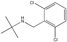 tert-butyl[(2,6-dichlorophenyl)methyl]amine Struktur