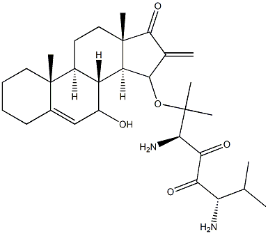  化學(xué)構(gòu)造式