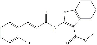 methyl 2-{[3-(2-chlorophenyl)acryloyl]amino}-4,5,6,7-tetrahydro-1-benzothiophene-3-carboxylate Struktur