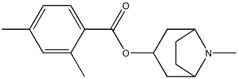 2,4-Dimethylbenzoic acid 8-methyl-8-azabicyclo[3.2.1]octan-3-yl ester Struktur