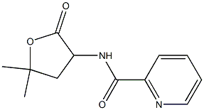 N-(5,5-Dimethyl-2-oxotetrahydrofuran-3-yl)picolinamide Struktur