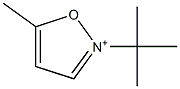 2-(1,1-Dimethylethyl)-5-methylisoxazol-2-ium Struktur