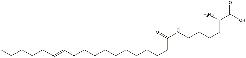 N6-(12-Octadecenoyl)lysine Struktur