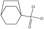 (Bicyclo[2.2.2]octan-1-yl)dichlorophosphine oxide Struktur