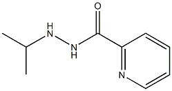 N'-Isopropylpyridine-2-carbohydrazide Struktur