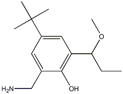 2-Aminomethyl-4-(tert-butyl)-6-(1-methoxypropyl)phenol Struktur