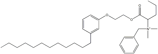 N,N-Dimethyl-N-benzyl-N-[1-[[2-(3-dodecylphenyloxy)ethyl]oxycarbonyl]butyl]aminium Struktur