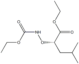 [S,(-)]-2-[(Ethoxycarbonylamino)oxy]-4-methylvaleric acid ethyl ester Struktur