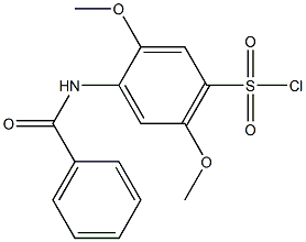 N-(4-Chlorosulfonyl-2,5-dimethoxyphenyl)benzamide Struktur