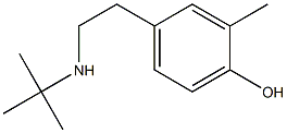 1-(4-Hydroxy-3-methylphenyl)-2-(tert-butylamino)ethane Struktur