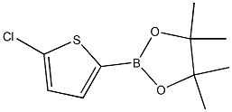 2-氯噻吩-5-硼酸頻哪醇酯