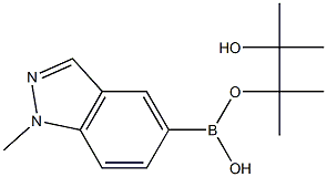 1-Methyl-1H-Indazole-5-boronic acid pinacol ester Struktur