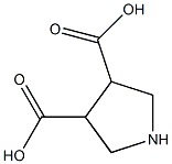 pyrrolidine-3,4-dicarboxylic acid Struktur