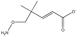 3-AMINOXY-TERT-BUTYL ACRYLATE Struktur