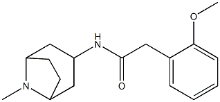 N1-(8-methyl-8-azabicyclo[3.2.1]oct-3-yl)-2-(2-methoxyphenyl)acetamide Struktur