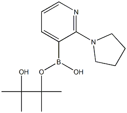 2-(1-Pyrrolidino)pyridine-3-boronic acid pinacol ester Struktur