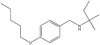 (2-methylbutan-2-yl)({[4-(pentyloxy)phenyl]methyl})amine Struktur