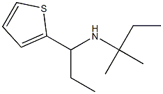 (2-methylbutan-2-yl)[1-(thiophen-2-yl)propyl]amine Struktur