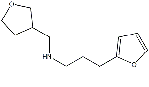 [4-(furan-2-yl)butan-2-yl](oxolan-3-ylmethyl)amine Struktur