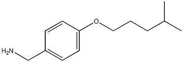 {4-[(4-methylpentyl)oxy]phenyl}methanamine Struktur