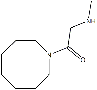 1-(azocan-1-yl)-2-(methylamino)ethan-1-one Struktur