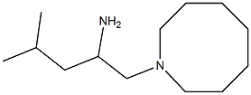 1-(azocan-1-yl)-4-methylpentan-2-amine Struktur