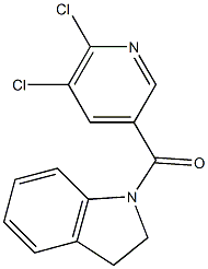 1-[(5,6-dichloropyridin-3-yl)carbonyl]-2,3-dihydro-1H-indole Struktur