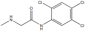 2-(methylamino)-N-(2,4,5-trichlorophenyl)acetamide Struktur