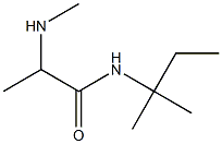 2-(methylamino)-N-(2-methylbutan-2-yl)propanamide Struktur