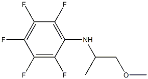 2,3,4,5,6-pentafluoro-N-(1-methoxypropan-2-yl)aniline Struktur