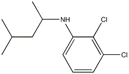 2,3-dichloro-N-(4-methylpentan-2-yl)aniline Struktur