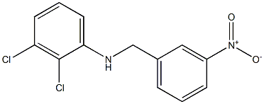 2,3-dichloro-N-[(3-nitrophenyl)methyl]aniline Struktur