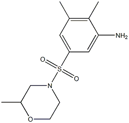 2,3-dimethyl-5-[(2-methylmorpholine-4-)sulfonyl]aniline Struktur