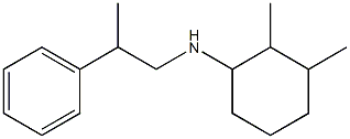 2,3-dimethyl-N-(2-phenylpropyl)cyclohexan-1-amine Struktur