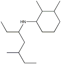 2,3-dimethyl-N-(5-methylheptan-3-yl)cyclohexan-1-amine Struktur