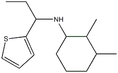 2,3-dimethyl-N-[1-(thiophen-2-yl)propyl]cyclohexan-1-amine Struktur