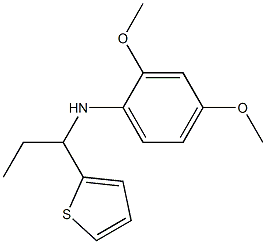 2,4-dimethoxy-N-[1-(thiophen-2-yl)propyl]aniline Struktur