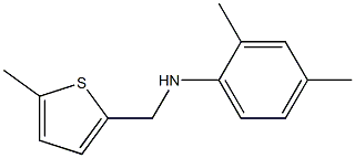 2,4-dimethyl-N-[(5-methylthiophen-2-yl)methyl]aniline Struktur