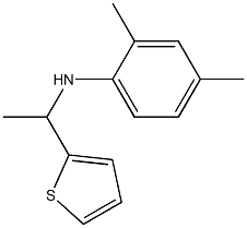 2,4-dimethyl-N-[1-(thiophen-2-yl)ethyl]aniline Struktur