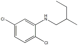 2,5-dichloro-N-(2-methylbutyl)aniline Struktur