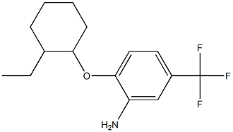 2-[(2-ethylcyclohexyl)oxy]-5-(trifluoromethyl)aniline Struktur