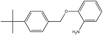 2-[(4-tert-butylphenyl)methoxy]aniline Struktur