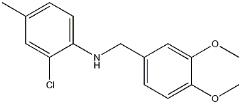 2-chloro-N-[(3,4-dimethoxyphenyl)methyl]-4-methylaniline Struktur