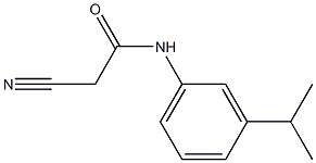 2-cyano-N-[3-(propan-2-yl)phenyl]acetamide Struktur