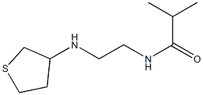 2-methyl-N-[2-(thiolan-3-ylamino)ethyl]propanamide Struktur