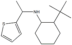 2-tert-butyl-N-[1-(thiophen-2-yl)ethyl]cyclohexan-1-amine Struktur